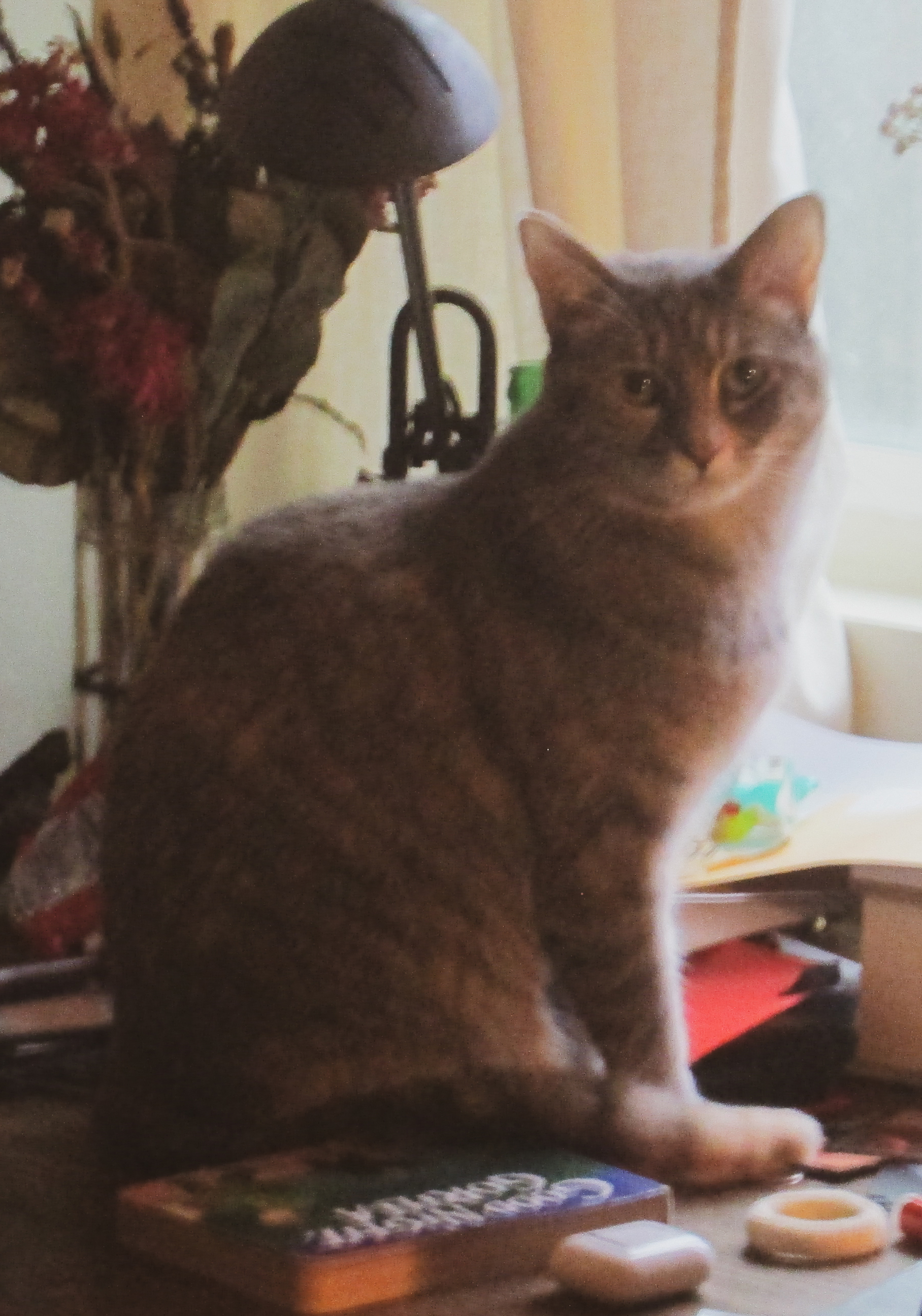 Percy